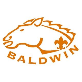 Image of Baldwin Bsa