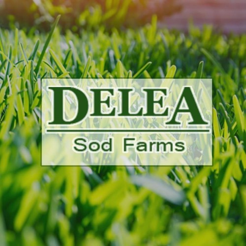 Contact Delea Farms