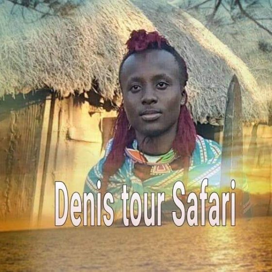 Denis Tour Safari