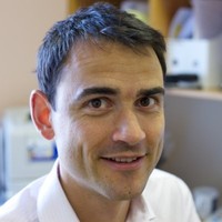 Image of Dr Steve Day - Business Systems and Outsourcing
