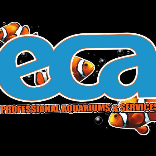 Contact Eca Services