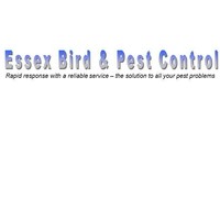 Contact Essex Control