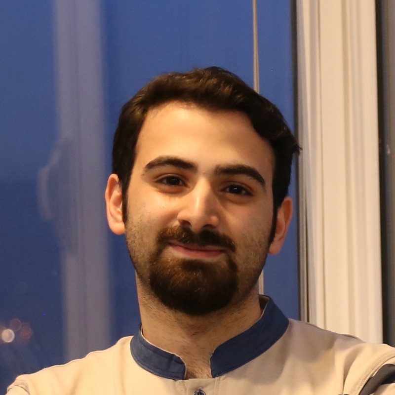 Image of Moeen Rezaei