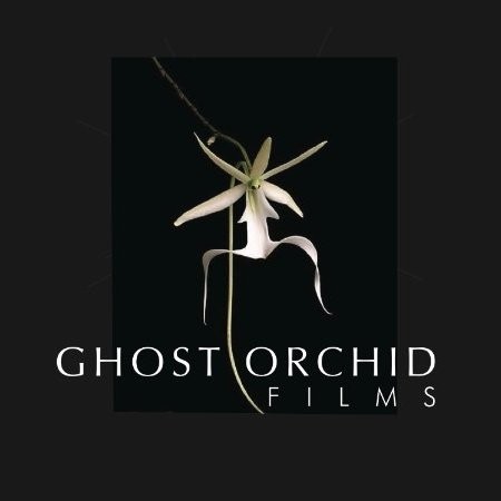 Contact Ghost Films