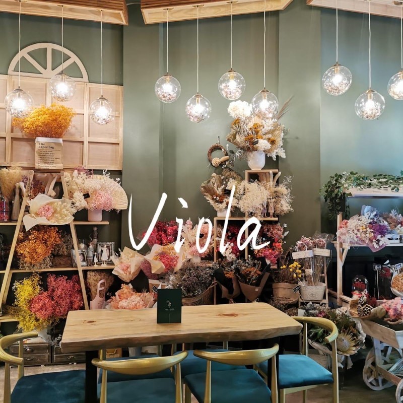Contact Viola Cafe