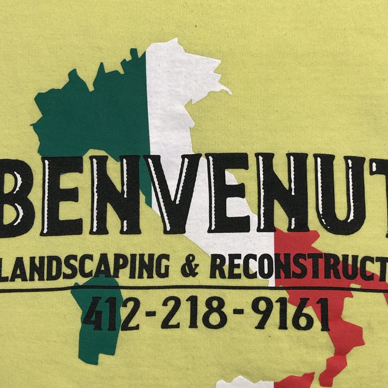 Contact Ray Benvenuti