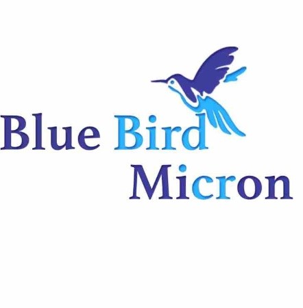 Blue Bird Micron