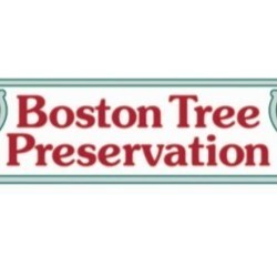 Boston Tree Preservation