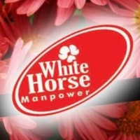 Image of White Horse