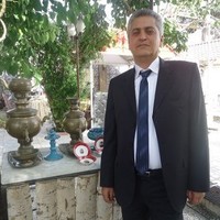 Image of Amir Hafez