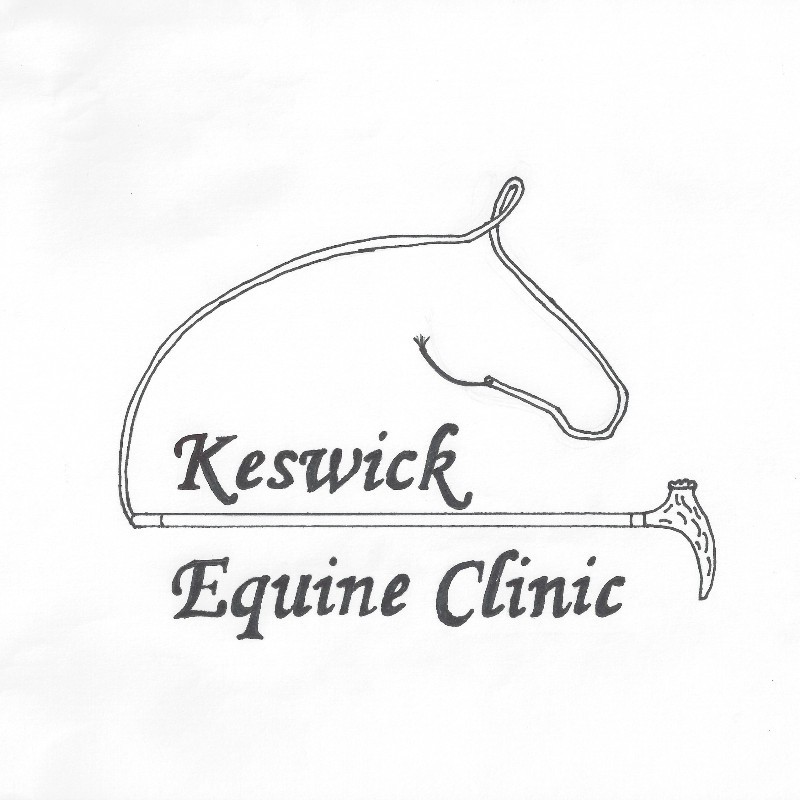 Keswick Equine Clinic