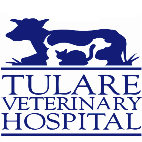 Contact Tulare Hospital