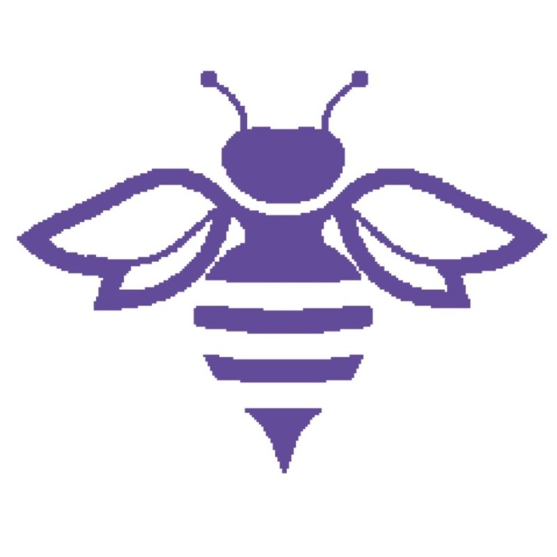 Image of Violet Bee