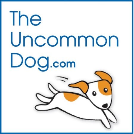 Contact Uncommon Dog