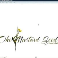 Contact THE MUSTARD SEED FOUNDATION