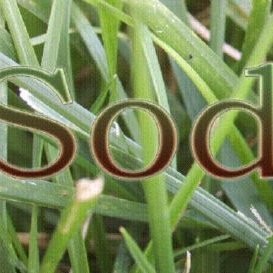 Contact Sod Jacksonville