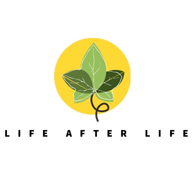 Lifeafter Life