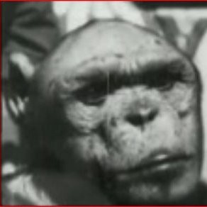 Contact Oliver Humanzee