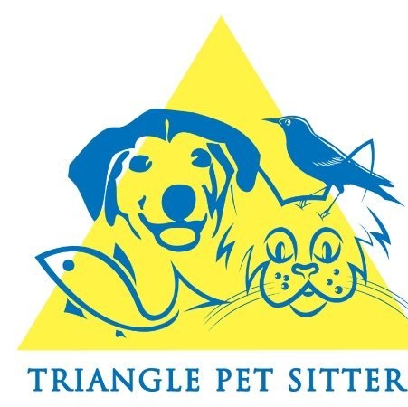 Image of Triangle Sitters