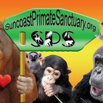 Contact Suncoast Sanctuary