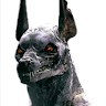 Anubis Black Dog