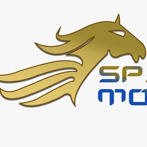 Contact Sparks Motors