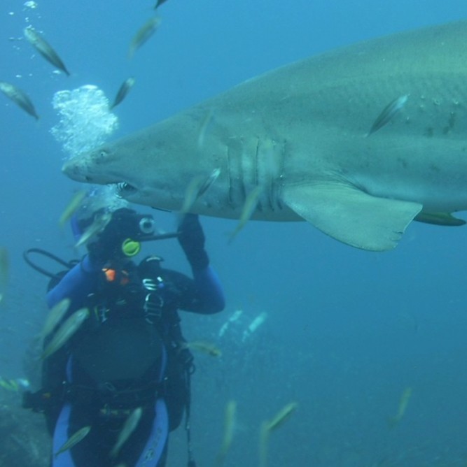 Image of Bob Stinchcum