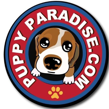 Image of Puppy Paradise
