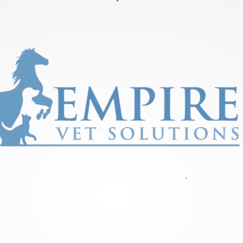 Contact Empire Solutions