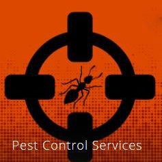 Big Time Pest Control