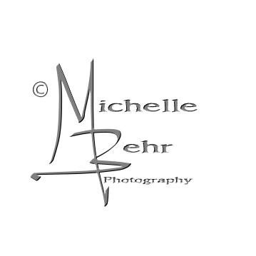 Contact Michelle Behr