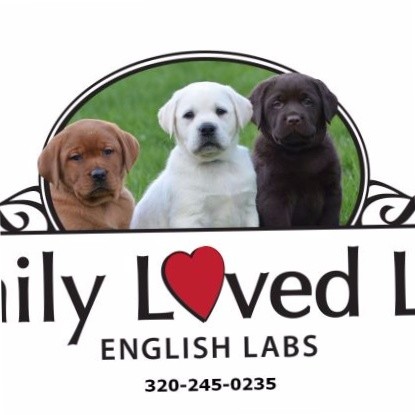 Contact Family Labs