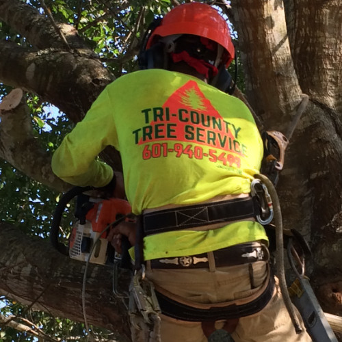 Tricounty Tree Service