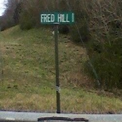 Fred Hill