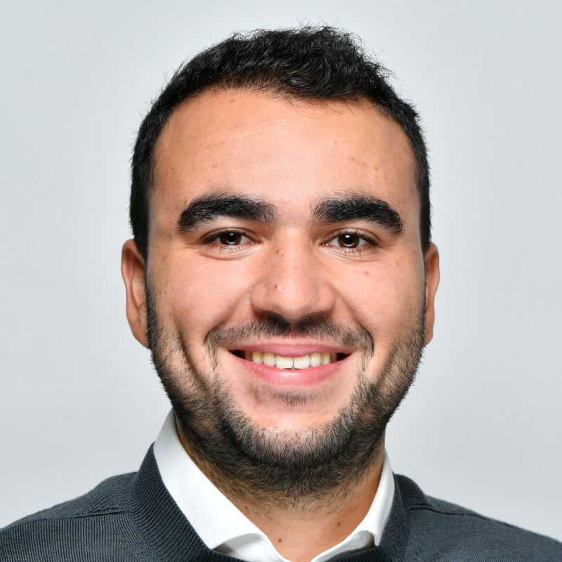Mehdi Alaoui