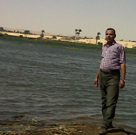 Atef Mahmoud Elswafy