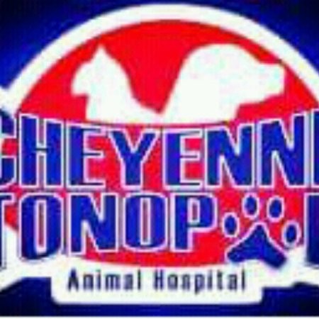 Contact Cheyenne Hospital
