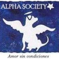Contact Alpha Society