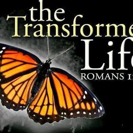 Image of Transforming Lives
