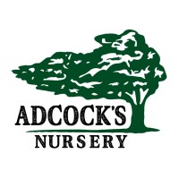 Contact Adcocks Nursery
