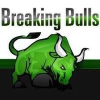 Image of Breaking Bulls