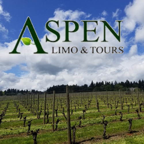 Erin Aspen Limo Tours