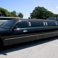 Manassas Limo Email & Phone Number