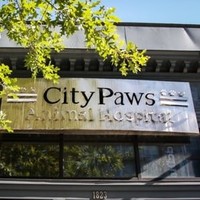 Contact Citypaws Hospital