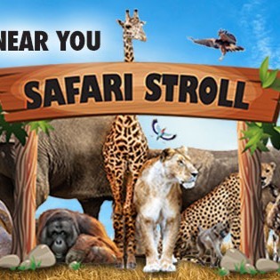 Safari Stroll