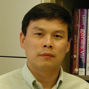 Image of Z Chen