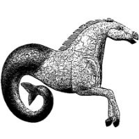 Contact Silver Seahorse