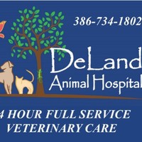Contact Deland Hospital