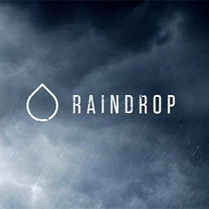Contact Raindrop Discord
