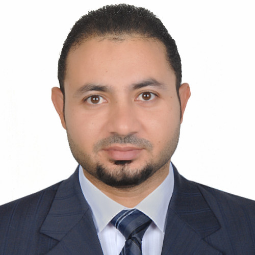 Ahmed El Ghandour Pmi-pmp(r)